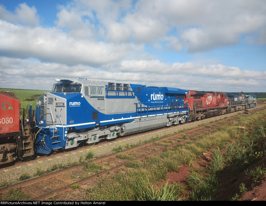 RUMO 9598
